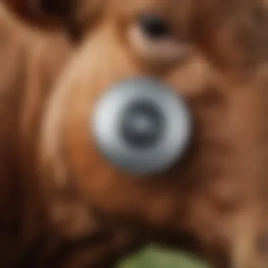 Technological Innovations in Ear Tag Design Innovative technology in cattle ear tag design indicated by a diagram