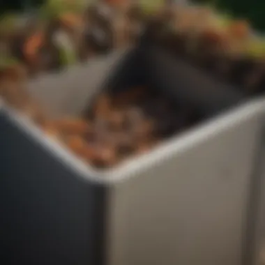 Aesthetic Compost Bin with Visible Worms An aesthetically pleasing compost bin with visible worms and organic waste