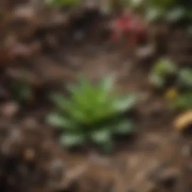 Plants Thriving in Enriched Soil Healthy plants thriving in soil enriched by composting worms