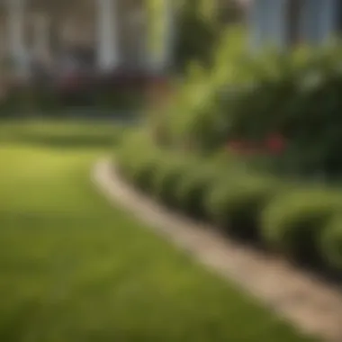 Transformative Effects of Lowes Edge Trim Before and after of lawn using Lowes edge trim