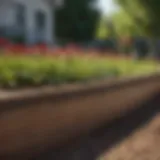 Close-up view of Lowes edge trim installed in a garden bed
