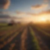 Scenic farmland with a sunrise