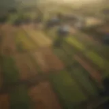 Aerial view of diverse farmland