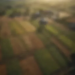 Aerial view of diverse farmland