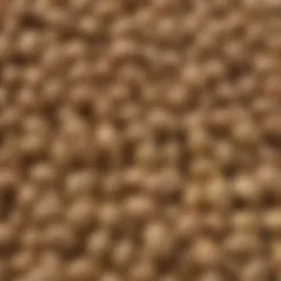 Close-up view of NK soybean seeds showcasing their quality