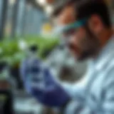 Analyzing Nutrient Solutions Nutrient solution being analyzed for hydroponic farming