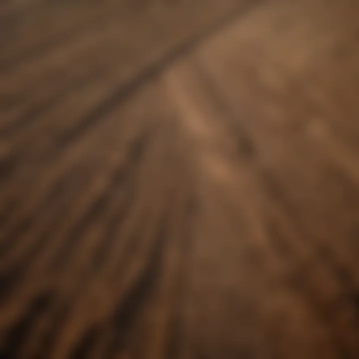 Aerial view of agricultural land showing soil conditions