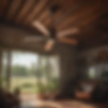 Enhancing Airflow in Agricultural Spaces Outdoor belt driven ceiling fan in an agricultural setting