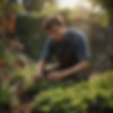 Remote Gardening Projects for Part-Time Work A person working on a gardening project remotely