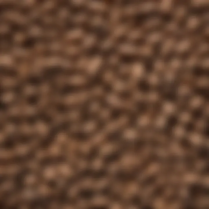 Close-up of Safeguard dewormer pellets