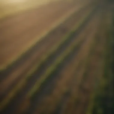 Aerial view of diverse farmland showcasing various crops