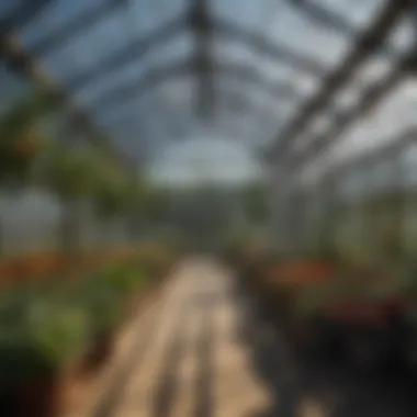 Innovative Design Features for Sustainable Greenhouses Innovative design features enhancing greenhouse sustainability