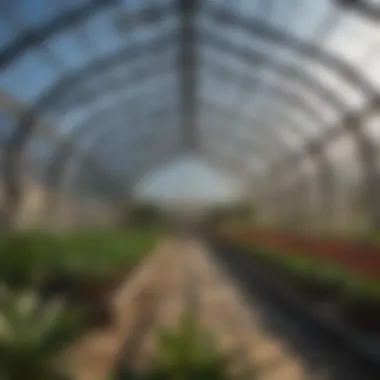 Modern Construction Materials for Robust Greenhouses A modern sturdy greenhouse showcasing various construction materials