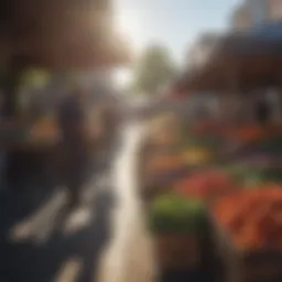 A vibrant farmer's market showcasing local produce.