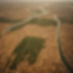 Aerial view of the Sahel region showcasing areas affected by desertification and the green belt initiative.