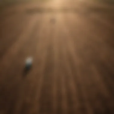 Aerial view of agricultural land affected by climate change.