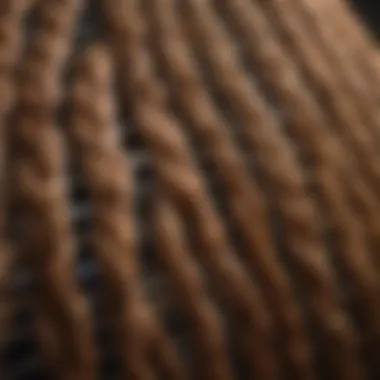 Enhancing Crop Aesthetics with Braiding Combs Close-up of braiding combs actively managing crop presentation