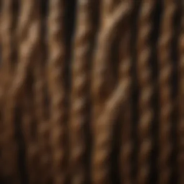 Sustainability in Agriculture through Braiding Techniques Sustainable practices in using braiding combs for agricultural goods