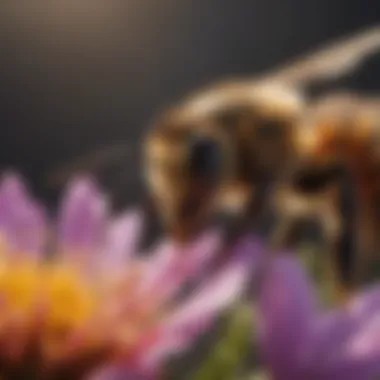 Close-up view of a bee on a vibrant flower