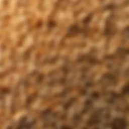 Close-up of flaxseed grains highlighting their texture and color