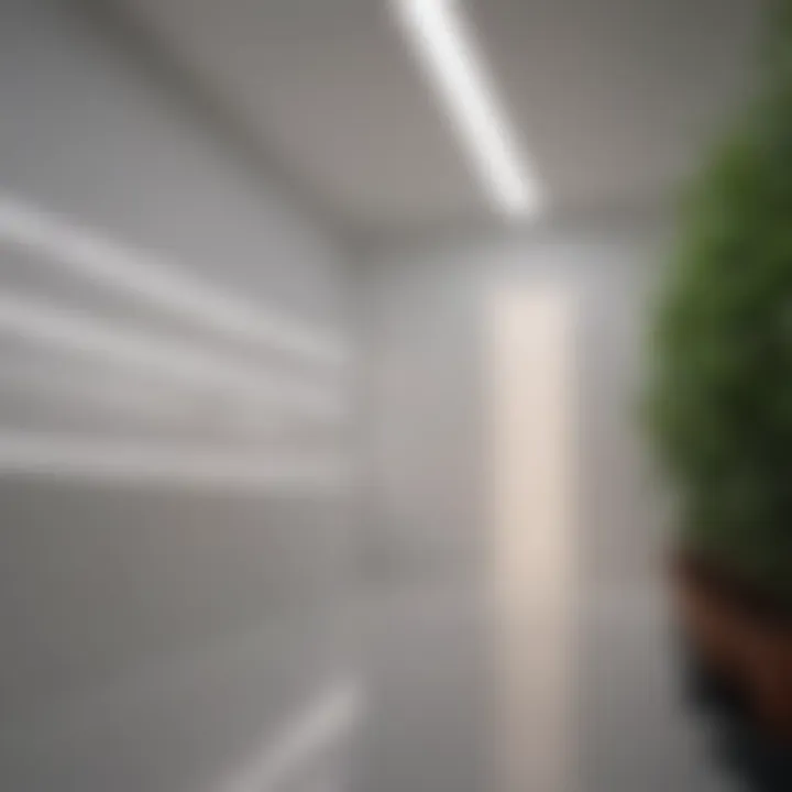 Comparison of light reflection with white plastic