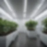 White plastic sheets used in a modern grow room