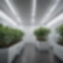 White plastic sheets used in a modern grow room