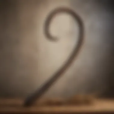 Traditional Shepherd's Crook A traditional shepherd's crook displayed against a rustic background