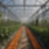 Thermal insulation mats in a greenhouse environment