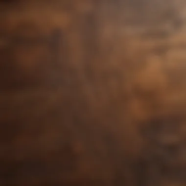 The Aesthetic Appeal of Treated Wood Close-up of treated wood with a glossy finish