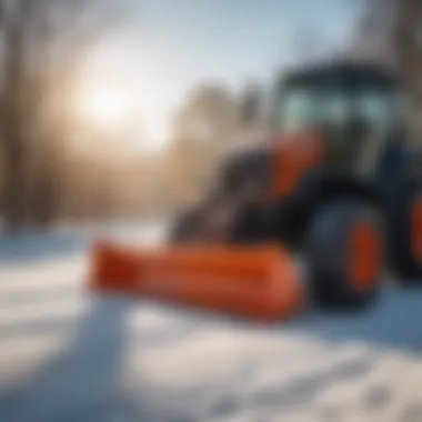 Maintenance tips for turf snow pushers displayed visually