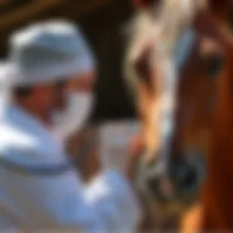 Veterinarian administering Banamine to a horse