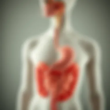 Diagram illustrating the digestive process affected by dairy intolerance