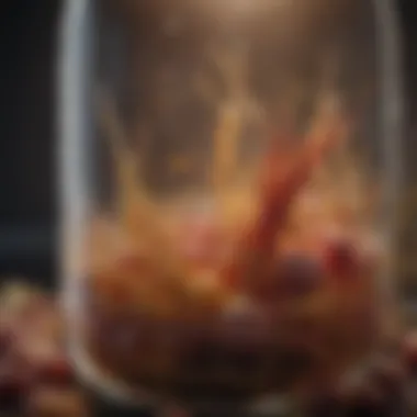 The Role of Microorganisms in Fermentation Microbial activity in fermentation