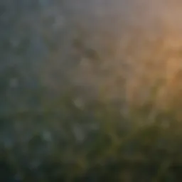 Close-up view of UV plastic film showcasing its texture and quality