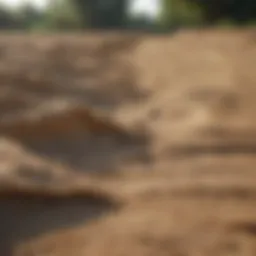 Overview of jute erosion control blankets in a field setting