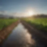 A high-tech plant water monitoring system in an agricultural field.