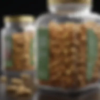 A close-up of Regumate packaging highlighting its pharmaceutical significance