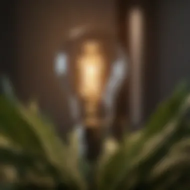 Illuminating Growth: The Impact of LED Technology on Plant Health Close-up of a six-watt LED light bulb illuminating a plant