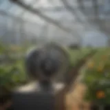 Small fan motor in action within a greenhouse setting