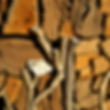 Healthy pressure treated wood without fungus
