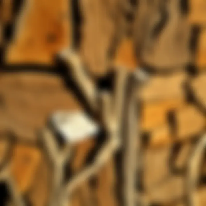 Healthy pressure treated wood without fungus