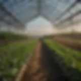 Insightful overview of greenhouse operations