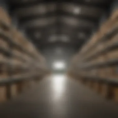 Efficient Organization in Agricultural Storage Interior view of a 20 by 20 storage building showcasing efficient organization for agricultural supplies.