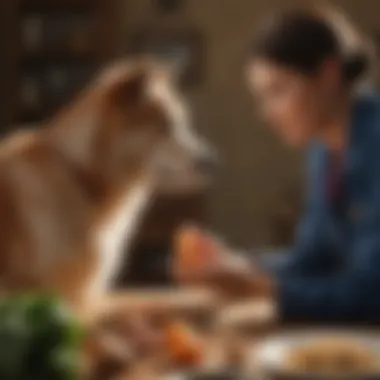 A veterinary professional discussing dietary needs with a pet owner