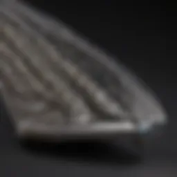 Close-up of Wahl Stable Pro Clipper blade assembly showing intricate details