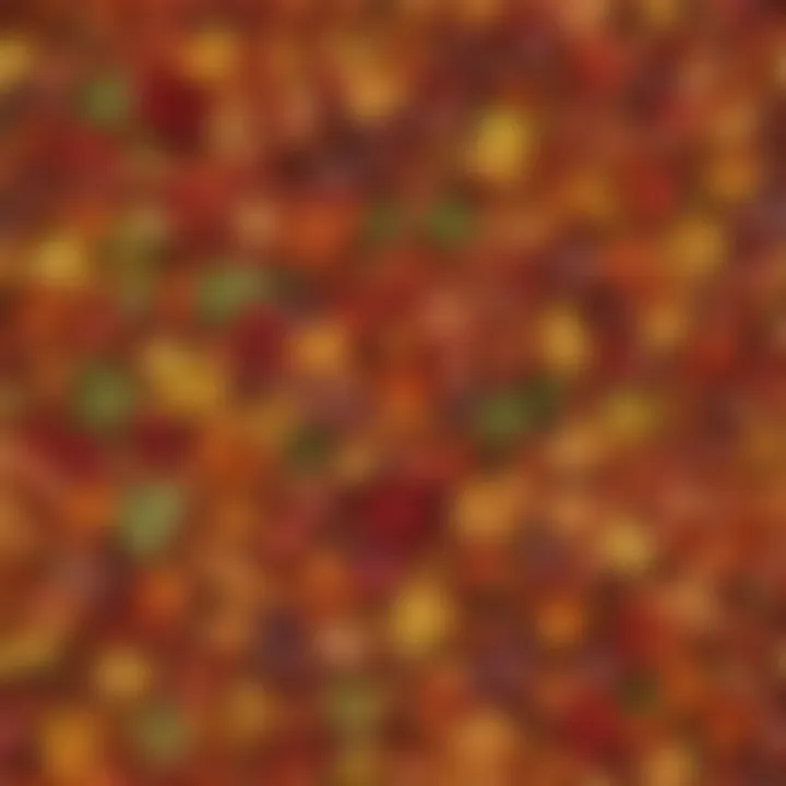 A vibrant collection of autumn leaves showcasing various colors and textures.